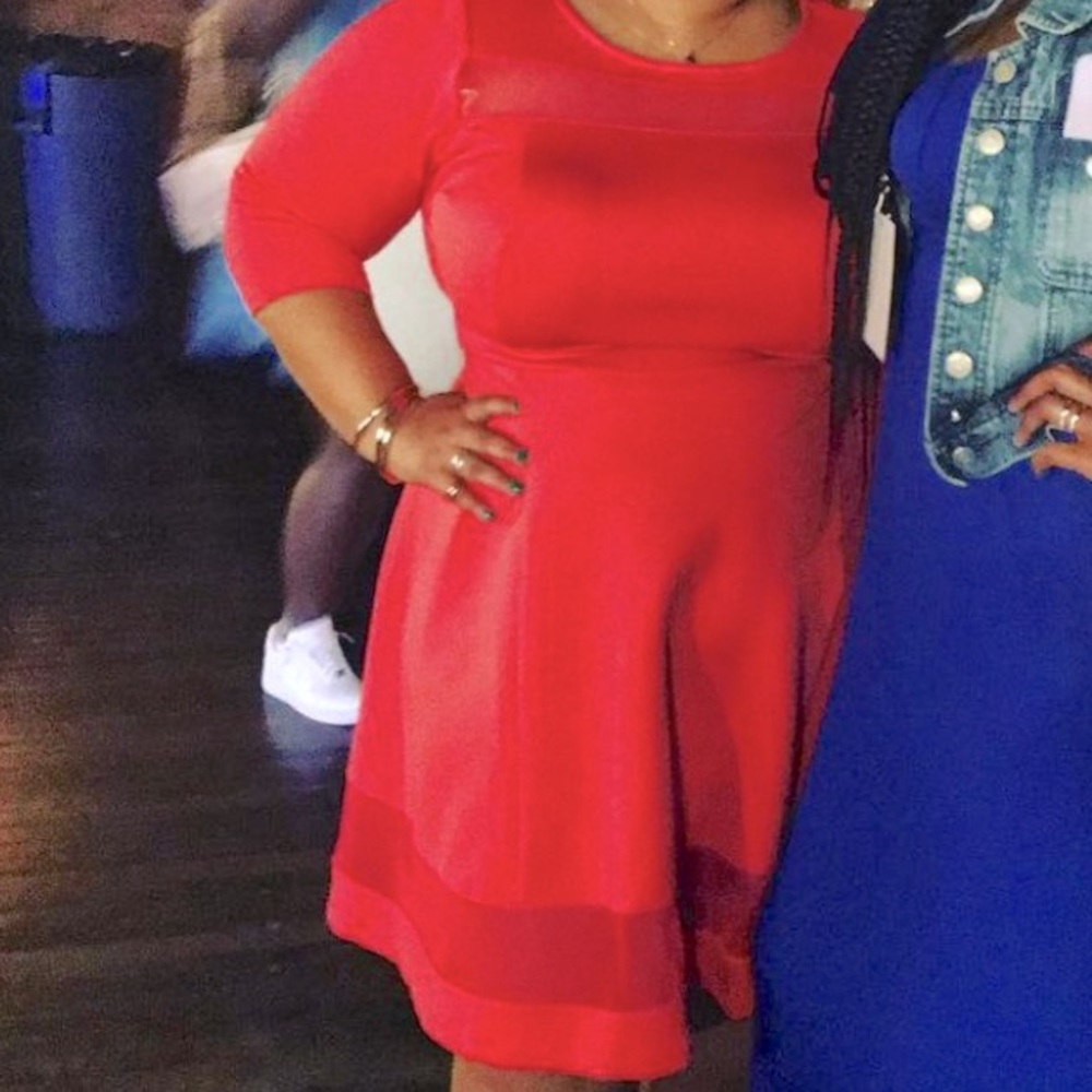 Lane Bryant 3/4 Sleeve Mesh detail scuba skater dress
